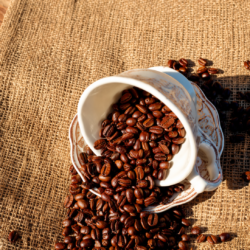 Café grano libra